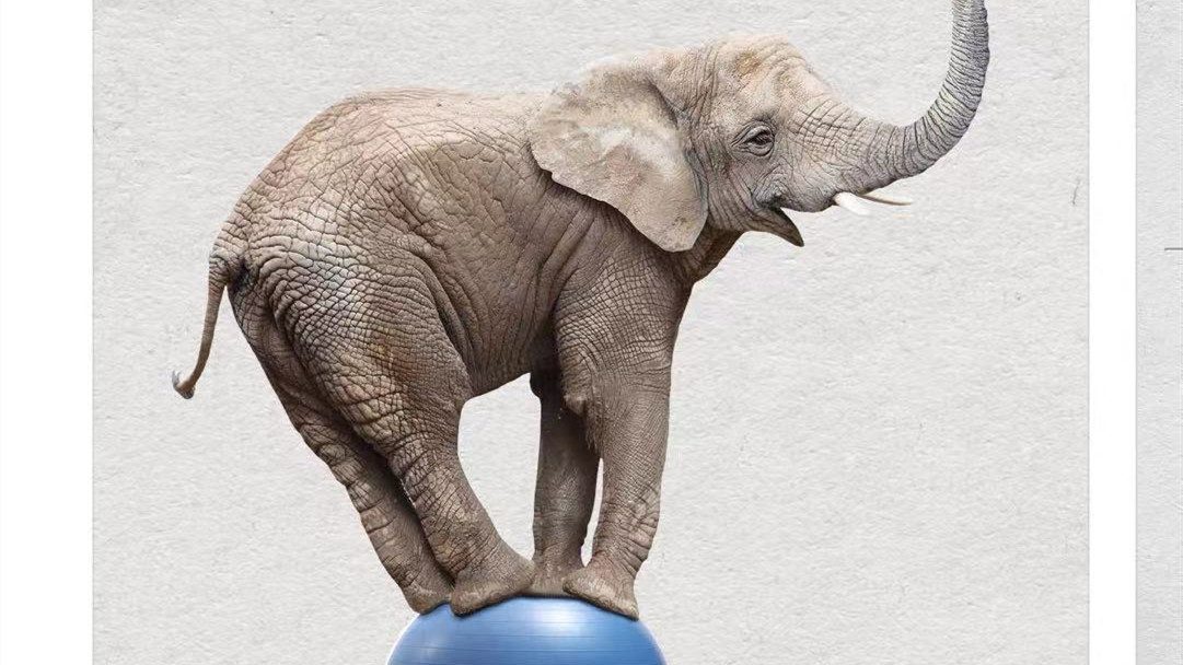 e8057a6df43af0bfe89cceeae175231_副本 Ankimobile Flashcards 软件-第1张